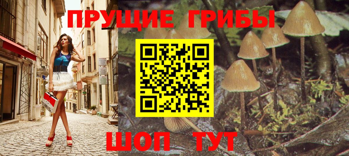 Псилоцибиновые грибы мухоморы Сухой Лог