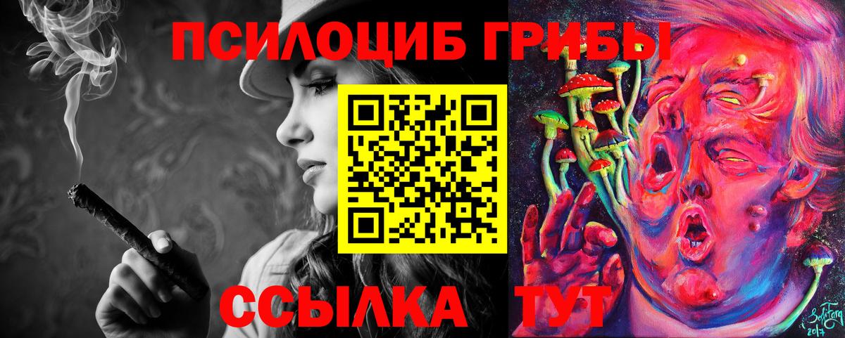 как найти   Вход с VPN  Сухой Лог  Галлюциногенные грибы GOLDEN TEACHER 